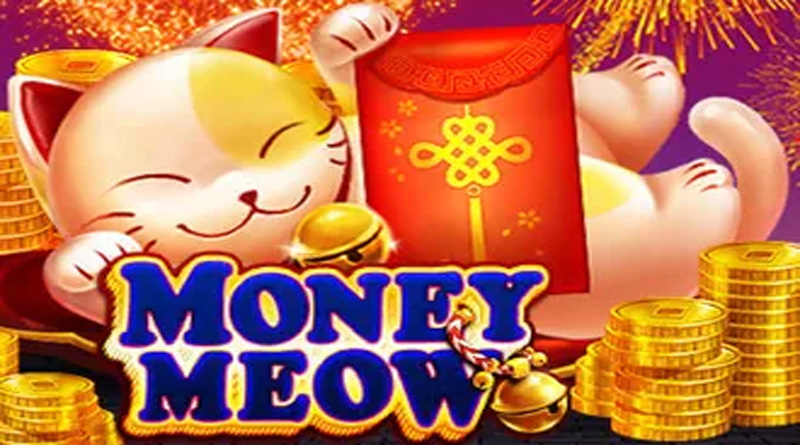 Money Meow